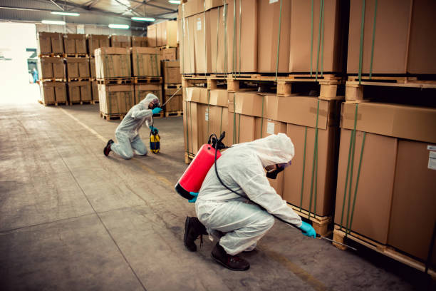 Best Wasp Removal Services  in Newbern, TN