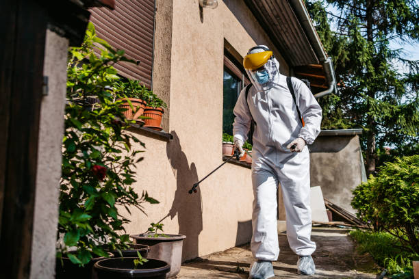 Best Wildlife Control Services  in Newbern, TN