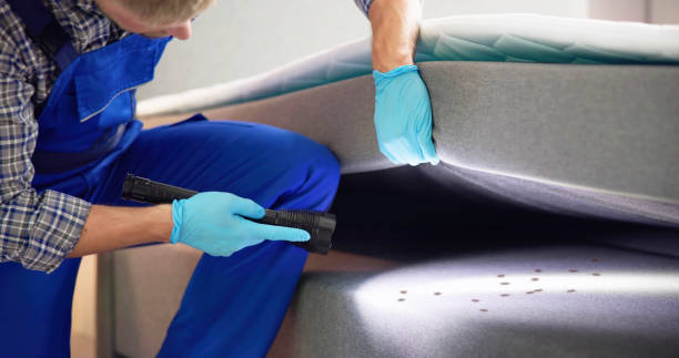 Best Ant Control Services  in Newbern, TN