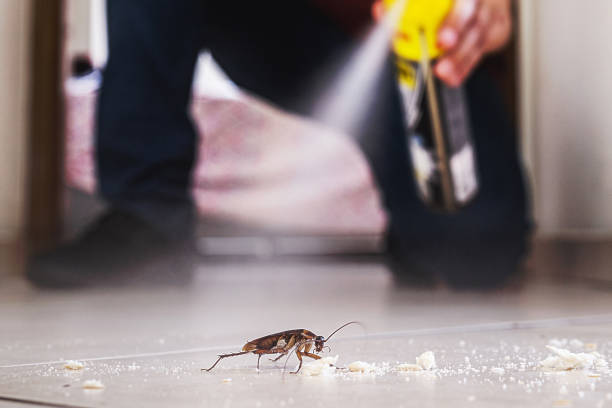 Reliable Newbern, TN Pest Control Solutions