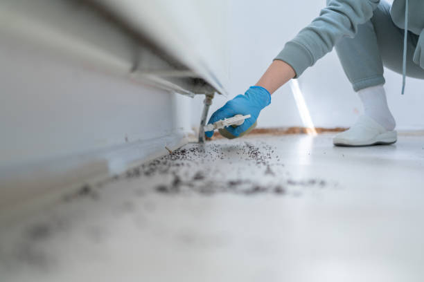 Best Cockroach Control Services  in Newbern, TN