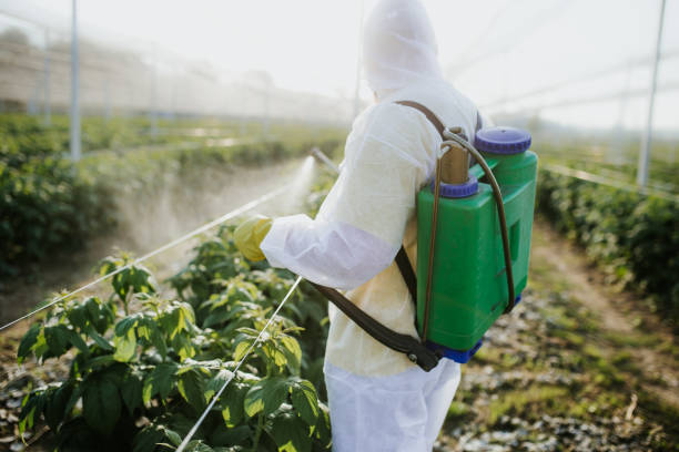 Best Wasp Removal Services  in Newbern, TN